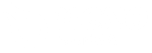 Nexo Saesa